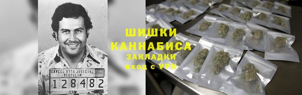 PSILOCYBIN Зеленодольск