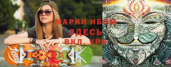 PSILOCYBIN Зеленодольск