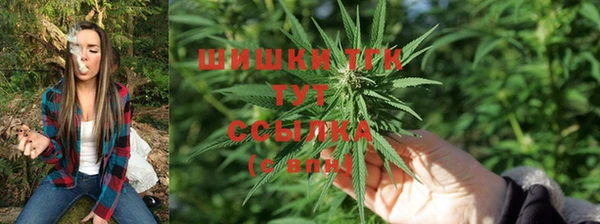 PSILOCYBIN Зеленодольск