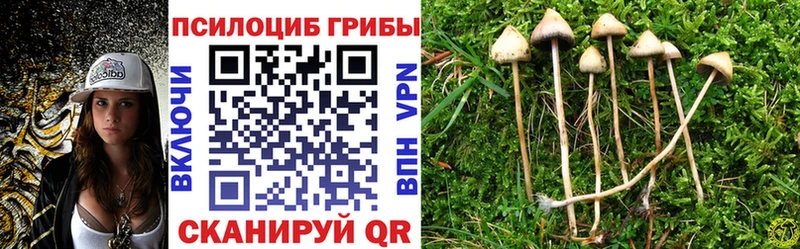 Купить  Тобольск  Псилоцибиновые грибы GOLDEN TEACHER 